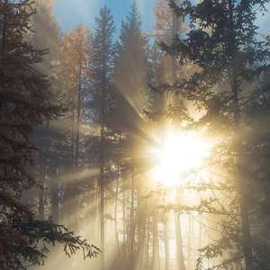 女人黄色裸体免费看视频
